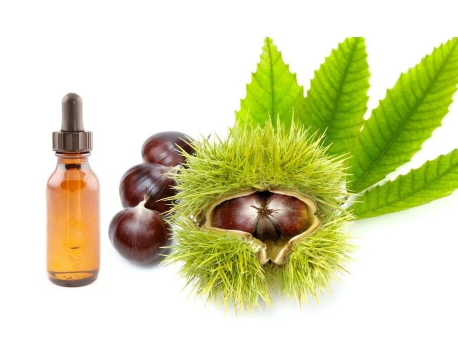 Elemento composizione Zxcvbnmqwert - Estratto di castagne